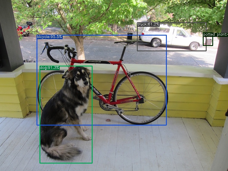 result-dog.jpg